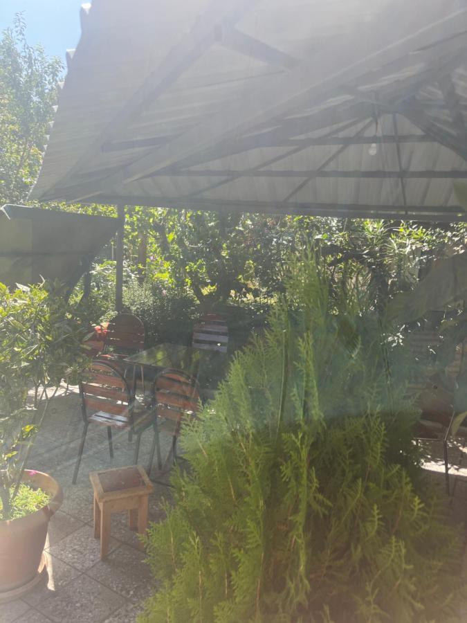 Cozy Space In 第比利斯 外观 照片